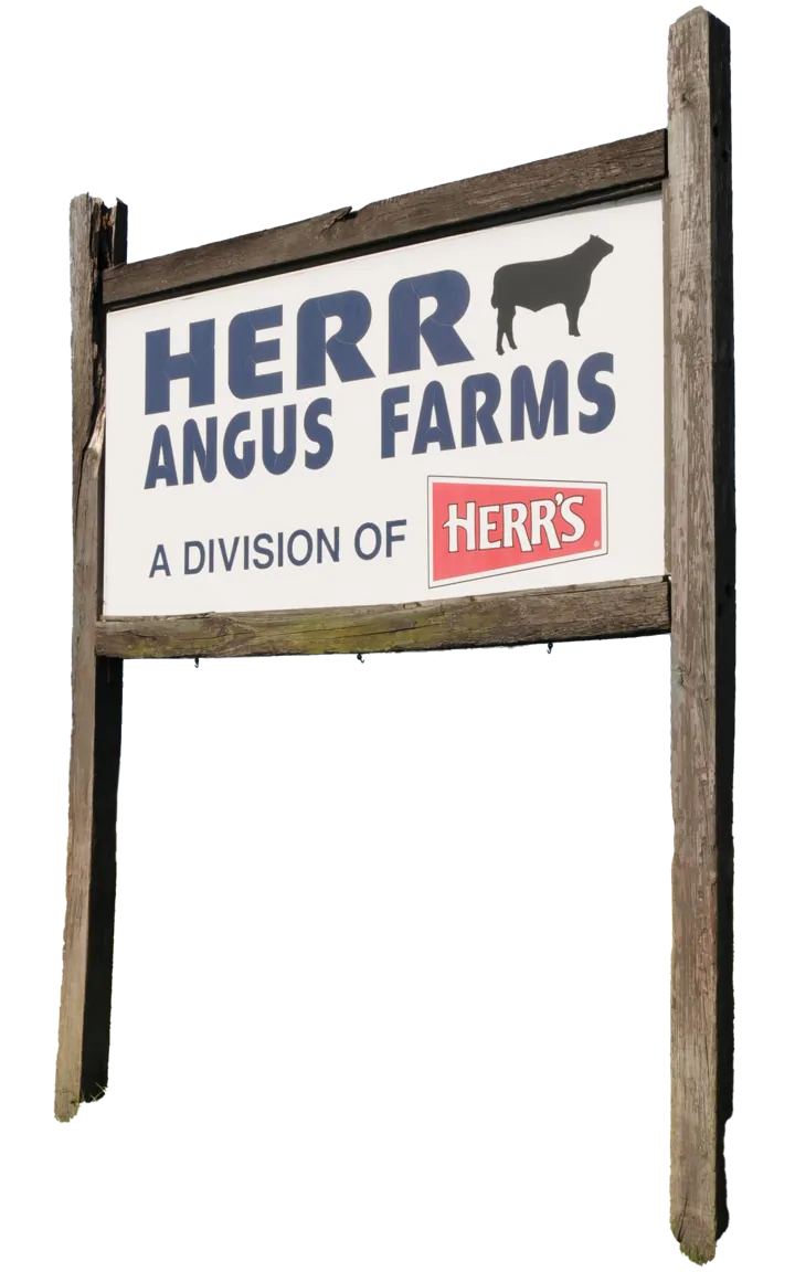 Angus Farms
